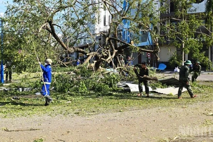 Lực lượng bộ đội cùng công nhân công ty môi trường dọn dẹp cây bị đổ gãy do bão số 13.