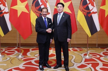 Chủ tịch nước Lương Cường đón Quốc vương Brunei Darussalam Haji Hassanal Bolkiah dự tiệc chiêu đãi. (Ảnh: Lâm Khánh-TTXVN)