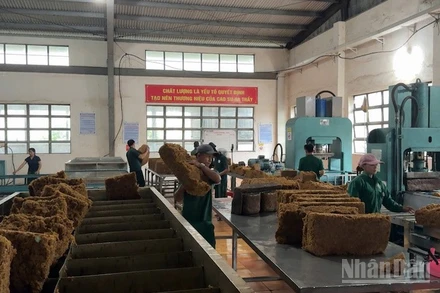 Công nghiệp cao-su Quảng Ngãi đổi mới và nâng cao chất lượng