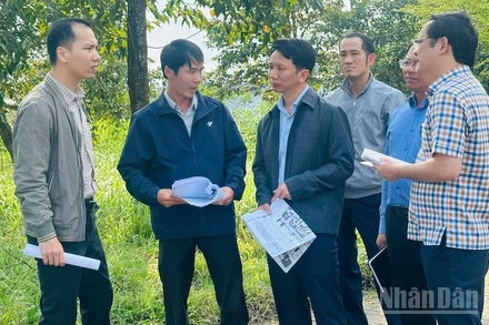 Thanh tra tỉnh Quảng Ngãi tăng cường công tác thanh tra chuyên ngành và cơ sở.