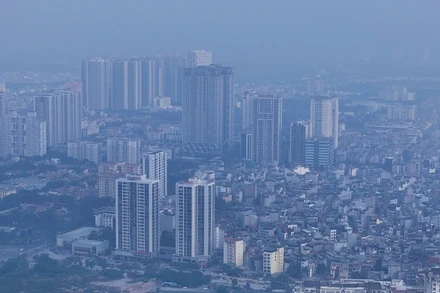 (Ảnh minh họa nhandan.vn)