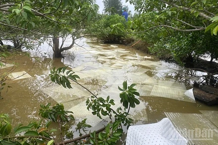 Dầu DO lan rộng trên sông và kênh mương.