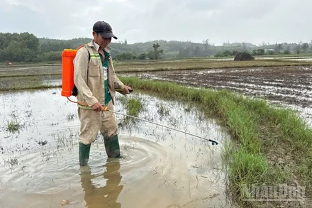 Sử dụng chế phẩm sinh học xử lý ô nhiễm do tràn dầu.