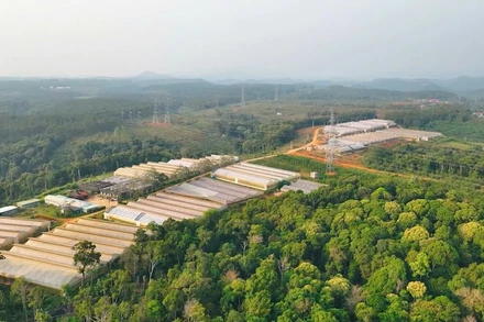 Xã Măng Đen xác định rõ chiến lược, mục tiêu và giải pháp phát triển kinh tế-xã hội.