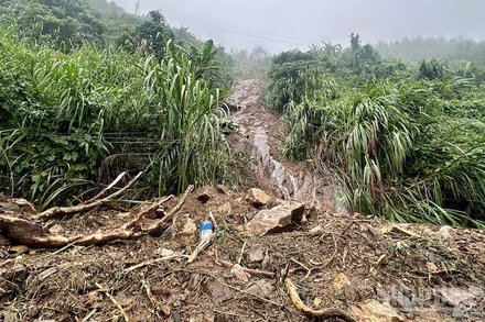 Mưa lớn khiến các xã miền núi tỉnh Quảng Ngãi liên tục xảy ra sạt lở núi.