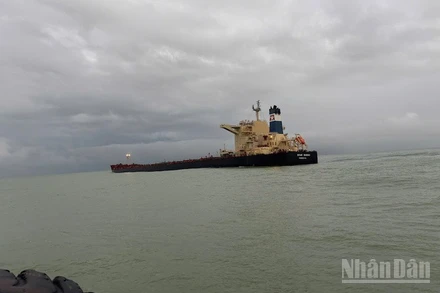 Tàu STAR BUENO có 22 thuyền viên hành trình từ Nam Phi đi cảng Dung Quất bị mắc cạn.