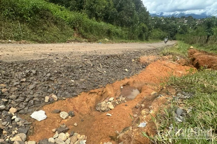 Giao thông xuống cấp là lực cản phát triển vùng nguyên liệu cây công nghiệp chủ lực miền núi Quảng Ngãi.