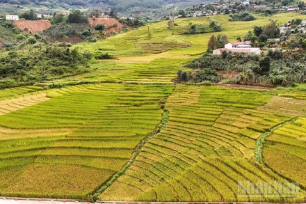 Gắn kết du lịch sinh thái núi rừng và biển đảo là định hướng chiến lược để tỉnh Quảng Ngãi định vị trên bản đồ du lịch trong nước.