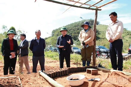 Chủ tịch Ủy ban nhân dân tỉnh Quảng Ngãi Nguyễn Hoàng Giang thăm mô hình ươm cây giống tại xã Tu Mơ Rông.