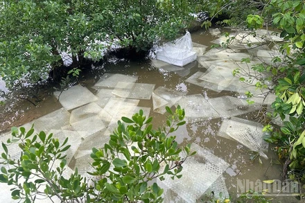 Quảng Ngãi: Đề nghị khẩn trương khắc phục hậu quả sự cố tràn dầu ra môi trường 