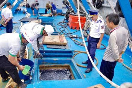 Tổ giám định tiến hành kiểm tra dầu trong khoang tàu. (Ảnh: Bộ Tư lệnh Vùng Cảnh sát biển 3)