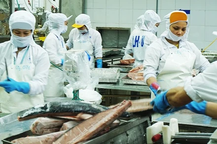 Thủy sản là một trong những ngành có mức tăng trưởng xuất khẩu mạnh sang thị trường khu vực châu Mỹ. (Ảnh: NAM ANH)