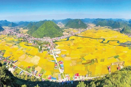 Thung lũng Bắc Sơn - điểm đến tiêu biểu trên bản đồ du lịch xứ Lạng.