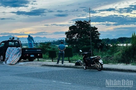 Cán bộ thú y đưa lợn dịch bệnh ra khu vực bãi sông Trà Khúc xử lý vì không có nơi chôn lấp, tiêu hủy.