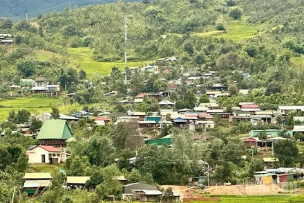 Xã Măng Ri phấn đấu trở thành thủ phủ sâm Ngọc Linh và dược liệu của tỉnh và cả nước.