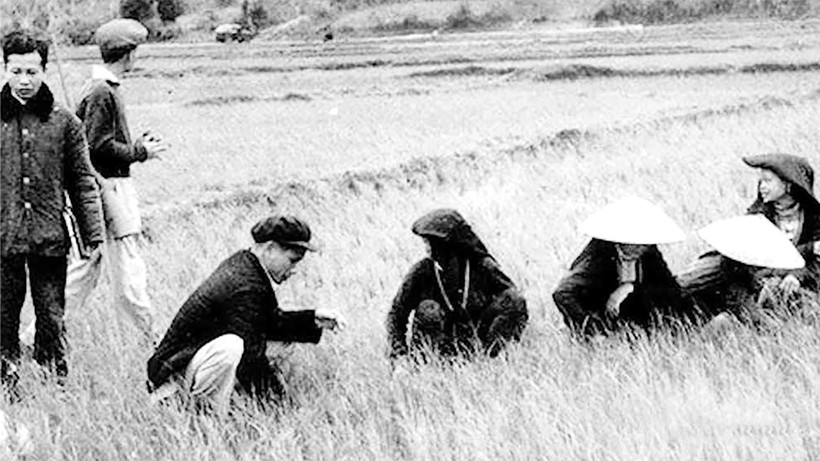 Bí thư Kim Ngọc (người đội mũ ngồi bên trái) với nông dân.