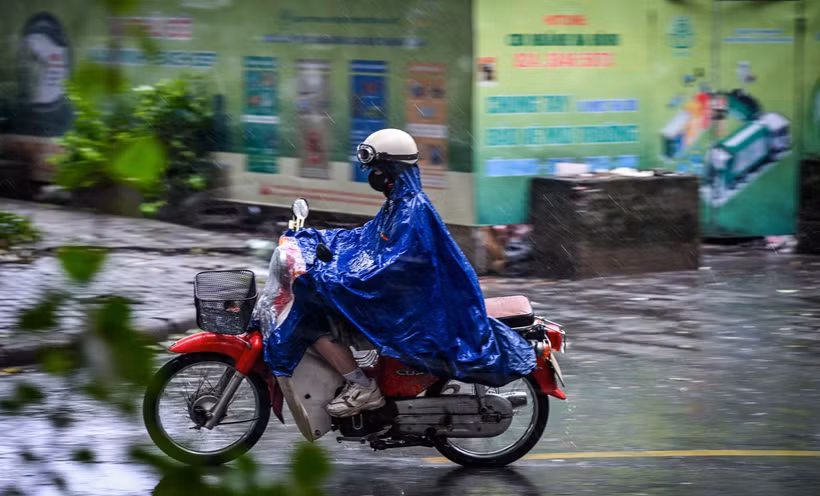 (Ảnh minh họa: THÀNH ĐẠT)