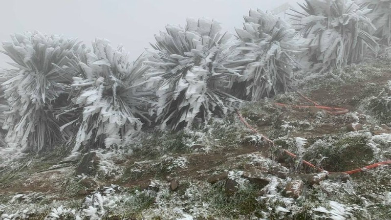 (Ảnh: Trung tâm Dự báo khí tượng thủy văn quốc gia)