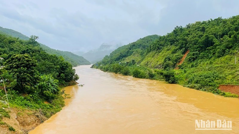 (Ảnh minh họa)