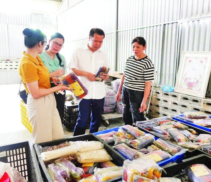 Cán bộ Liên minh Hợp tác xã tỉnh Cao Bằng gặp gỡ, tư vấn, định hướng phát triển cho các hợp tác xã tại địa phương