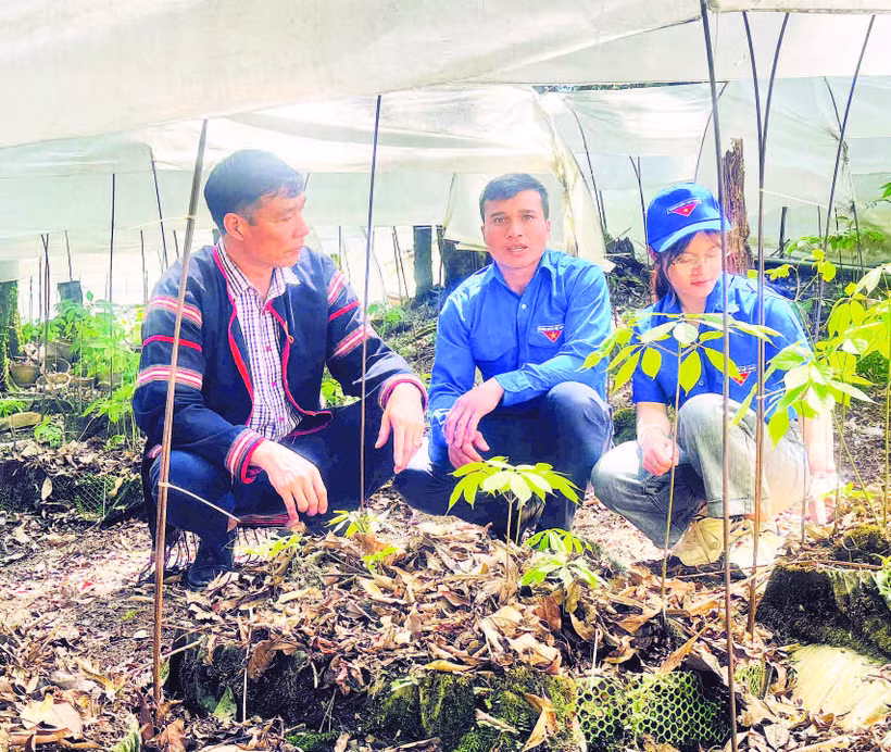 Các chương trình trao tặng cây giống cho thanh niên hỗ trợ khởi nghiệp và thúc đẩy phát triển kinh tế địa phương.