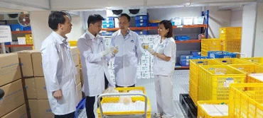 Tổng Giám đốc Nguyễn Văn Điệp kiểm tra sản phẩm vaccine AVAC ASF LIVE chuẩn bị xuất khẩu.