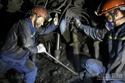 Tháng 7 vừa qua, TKV sản xuất hơn 3,24 triệu tấn than sạch, bằng 100% kế hoạch tháng; lũy kế 7 tháng đầu năm hơn 24 triệu tấn, bằng 103,4% so với cùng kỳ.