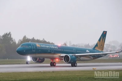 Hàng loạt chuyến bay của Vietnam Airlines bị hủy do ảnh hưởng bão Wipha.