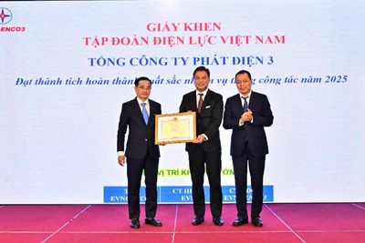 Ông Đặng Hoàng An, Bí thư Đảng ủy, Chủ tịch Hội đồng thành viên EVN trao giấy khen của EVN cho Tổng Công ty Phát điện 3.