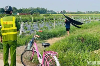 Lực lượng chức năng đã phát hiện, thu giữ 3 chiếc diều thả gần khu bay Nội Bài trong khi máy bay đang chuẩn bị hạ cánh.