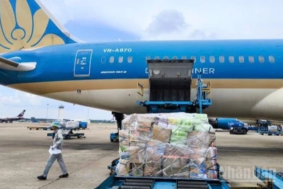 Hãng hàng không Vietnam Airlines miễn toàn bộ cước vận chuyển, phụ thu nhiên liệu và các khoản phí liên quan, đồng thời được ưu tiên xếp tải hàng hóa hỗ trợ đồng bào bão lụt miền trung trên các chuyến bay của hãng.