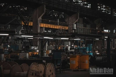 Tổ chức Climateworks Centre đề xuất một lộ trình chuyển đổi riêng nhằm đưa Thành phố Hồ Chí Minh, trung tâm kinh tế hàng đầu cả nước, trở thành khu công nghiệp phát thải ròng bằng 0 (Net Zero Industrial Precinct - NZIP).