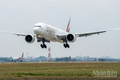 13 chuyến bay của các hãng hàng không Trung Đông đi/đến Việt Nam qua Cảng hàng không quốc tế Nội Bài hủy, khiến khoảng 2.800 hành khách bị ảnh hưởng