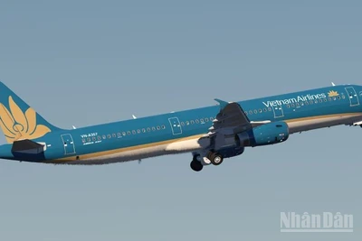 Vietnam Airlines sẽ hoàn thành toàn bộ việc cập nhật phần mềm trước yêu cầu, hoạt động khai thác của Vietnam Airlines Group trong ngày 29/11 và từ ngày 30/11 diễn ra bình thường và không bị ảnh hưởng.