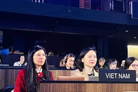 Đại sứ Nguyễn Thị Vân Anh phát biểu tại Kỳ họp.