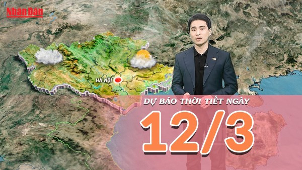 [Video] Dự báo thời tiết ngày 12/3/2026: Miền Bắc đón mưa dông, cảnh báo xâm nhập mặn tại Nam Bộ diễn biến phức tạp