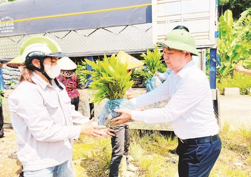 Người dân xã Nghĩa Tá nhận cây keo giống để triển khai trồng rừng. (Ảnh DUY THÁI)