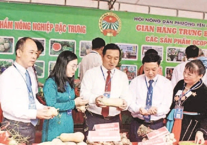 Lãnh đạo Hội Nông dân tỉnh thăm gian hàng trưng bày sản phẩm nông nghiệp.