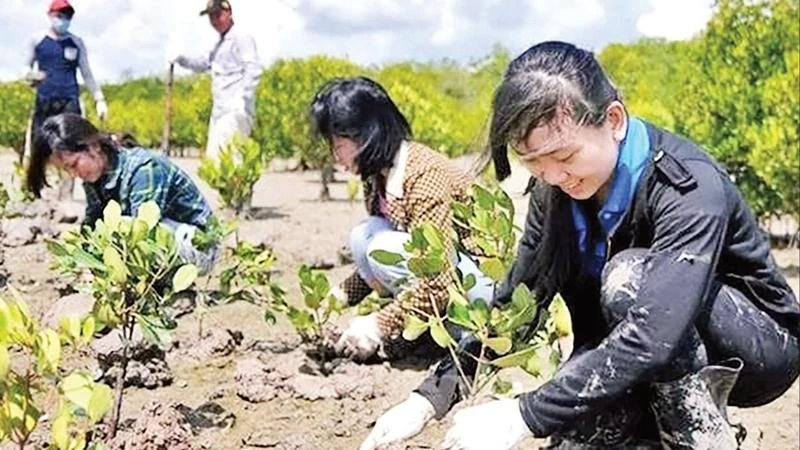 Thanh niên tham gia trồng rừng ngập mặn ven biển phường Phú Mỹ, Thành phố Hồ Chí Minh.