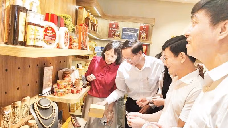 Tạo đà cho nông sản địa phương vươn xa