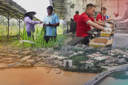 Kinh tế tuần hoàn, từ hạt mầm ý tưởng đến trái ngọt phát triển bền vững