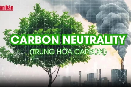 [Video] Khái niệm Trung hòa Carbon và Net Zero: Sự khác biệt và mối liên hệ