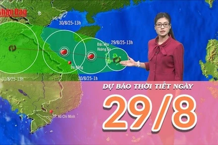 [Video] Dự báo thời tiết ngày 29/8/2025: Mưa gia tăng trên các khu vực