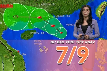 [Video] Dự báo thời tiết ngày 7/9/2025: Bão số 7 gây gió mạnh, sóng lớn trên biển
