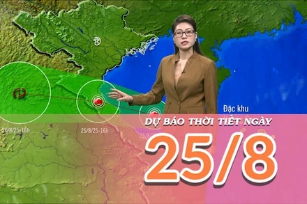 [Video] Dự báo thời tiết ngày 25/8/2025: Bão số 5 tiến vào đất liền