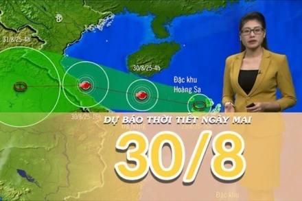 [Video] Dự báo thời tiết đêm nay và ngày mai 30/8/2025: Áp thấp nhiệt đới có khả năng mạnh lên thành bão