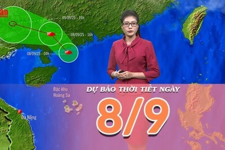 [Video] Dự báo thời tiết ngày 8/9/2025: Bão số 7 đi vào đất liền