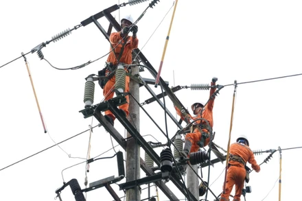 Người lao động được trang bị đầy đủ dụng cụ an toàn khi làm việc trên cao.