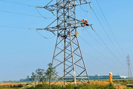 EVNNPC triển khai nâng cấp sửa chữa lưới điện. 