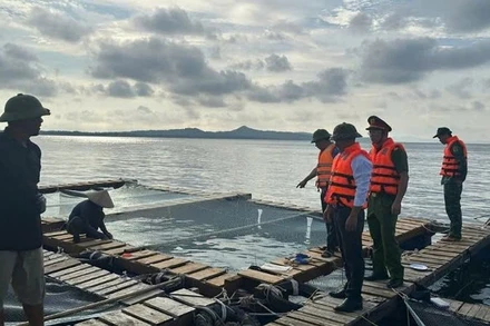 Lực lượng Công an và Bộ đội Biên phòng đặc khu Cô Tô (Quảng Ninh) hướng dẫn người dân gia cố lồng bè nuôi trồng và đưa tàu thuyền vào nơi tránh trú bão số 9 an toàn. (Ảnh: QANG THỌ)